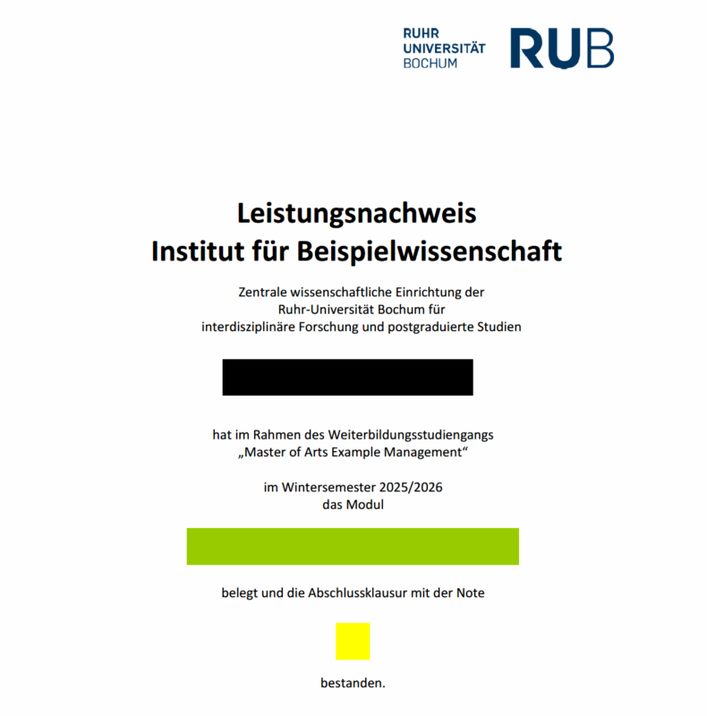 Beispiel einer PDF-Datei mit geschwärztem Inhalt